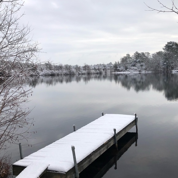 Meet your Posher, Tracy - Picture 1 of 1